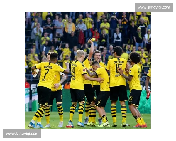 凯恩空降德甲多特蒙德秘密接触热刺射手,球迷:终于等到你!