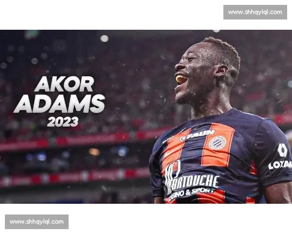 蒙彼利埃低价淘金,神秘新援能否踢出名堂 蒙彼利埃低价淘金,神秘新援能否踢出名堂